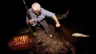 Sneaky Caiman Steals Jeremy Wade's Catch! | Caiman | River Monsters