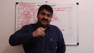 SAP EWM Quality Integration Process || Supply Chain Management || LEARN WITH MANS