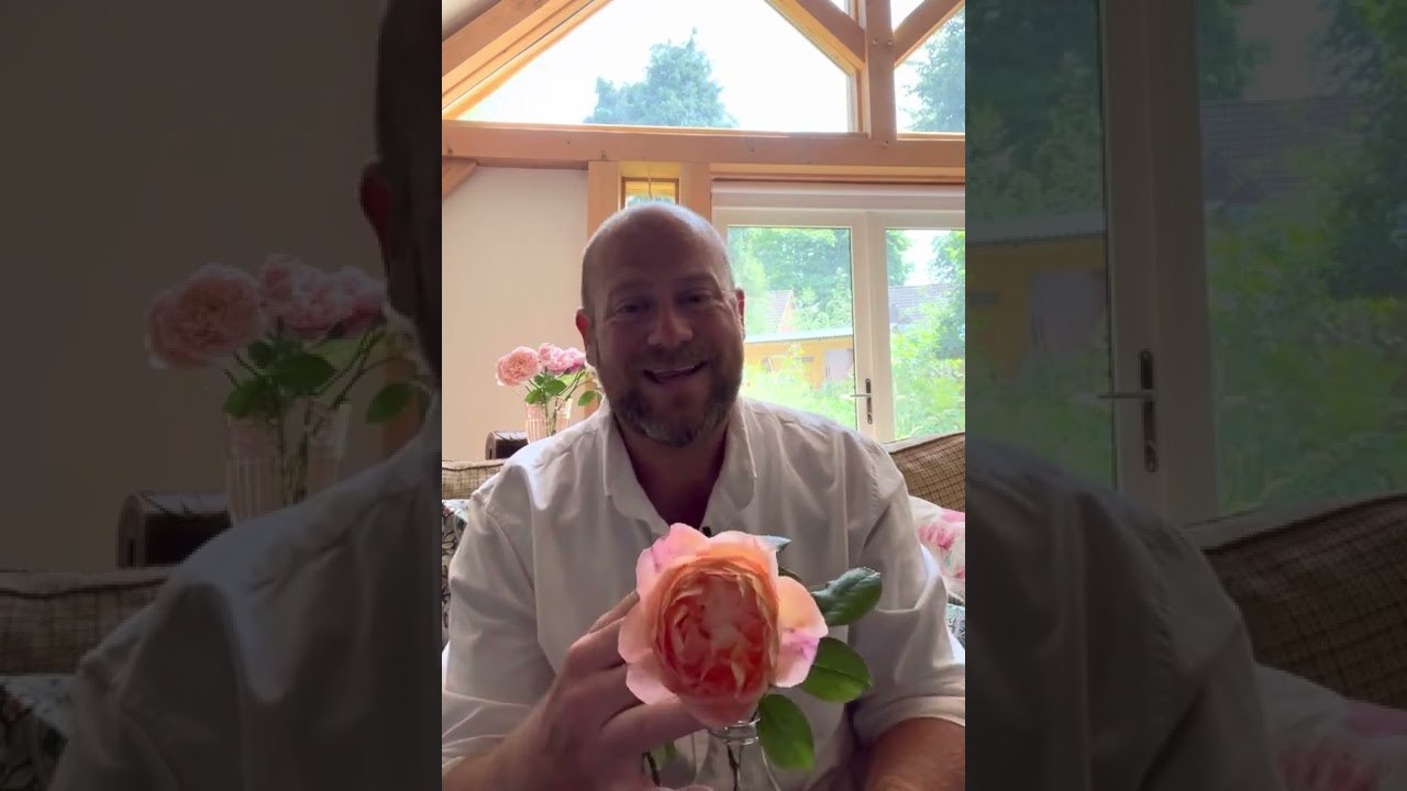 Моя серия лучших из лучших продолжается с моими 10 лучшими розами @david_austin_roses для парфюме...