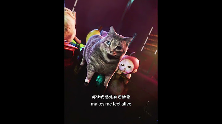 Counting Stars (Oiiai Cat Edition )#memes  #oiiaoiia #happycats #bananacat #cheems #doge