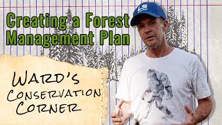 Creating a Forest Management Plan | Ward's Conservation Corner