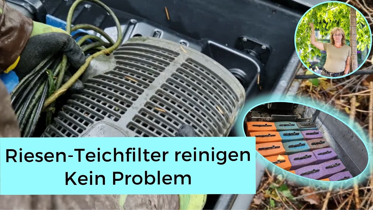 Teichfilter reinigen, Schritt für Schritt! YouTube