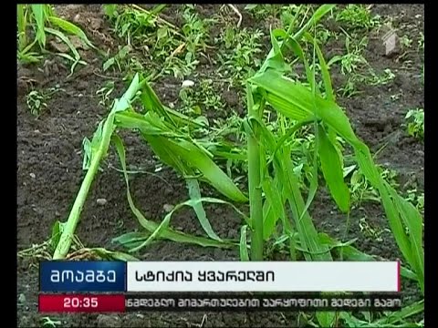 სეტყვამ ყვარლის რაიონის სამი სოფელი დააზარალა