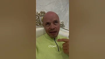 6 правил как спастись при встрече с акулой ⠀