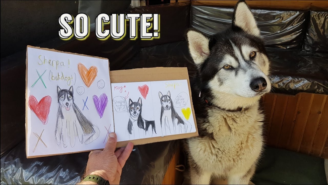 Dog receives cutest mail from one of his followers! So sweet! YouTube