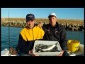 Italian fishing tv  tubertini  una bolognese in barca