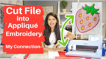 Cut File Into Appliqué Embroidery With My Connection : AllBrands After Hours