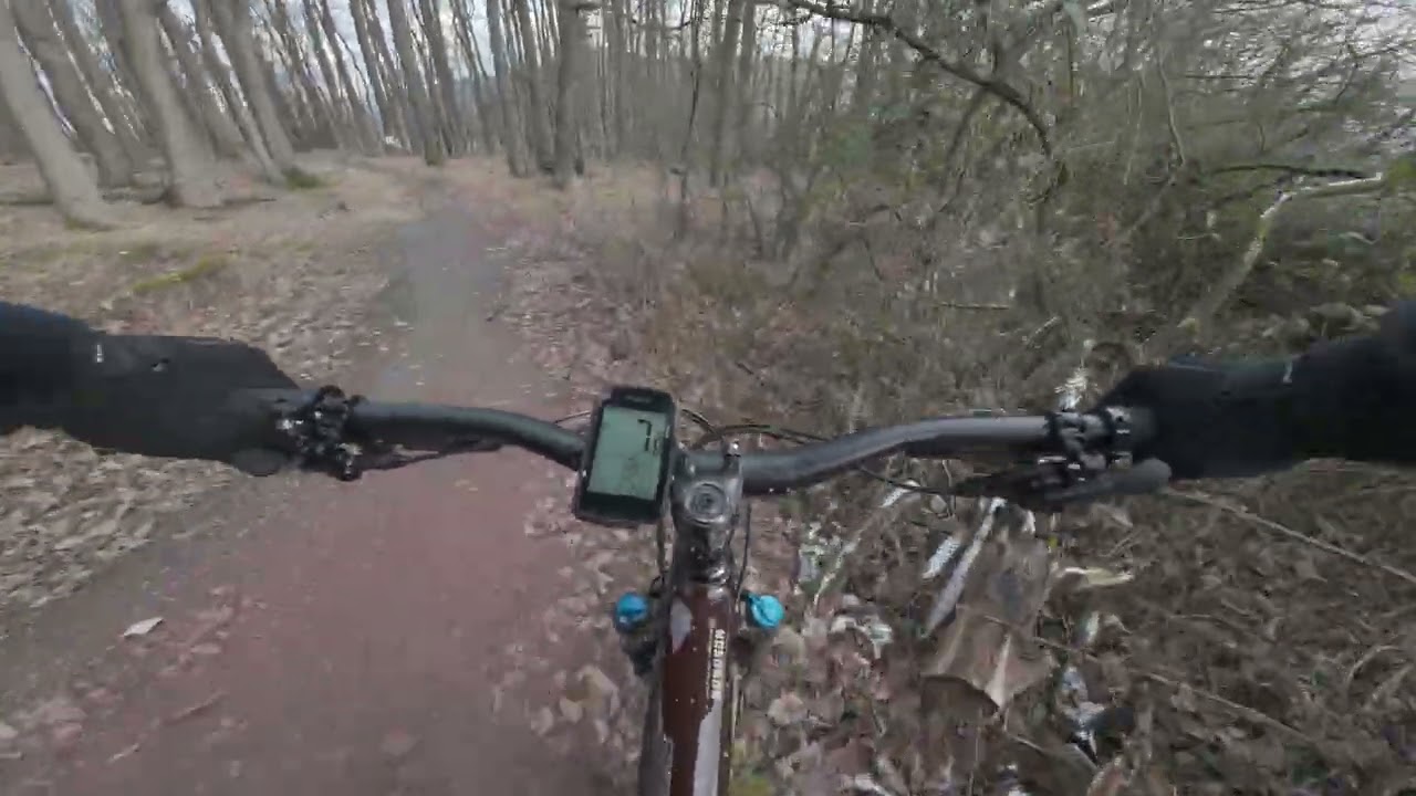 DJI 20260220153731 0002 D