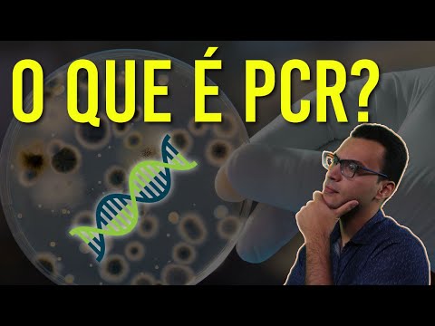 Vídeo: Análises De PCR: O Que é Especial?