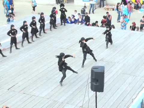 ,,მესხი ფრთოსანი\"