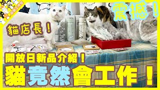 【孤貓工作室】震撼貓竟然會工作做好貓店長開放日新品介紹