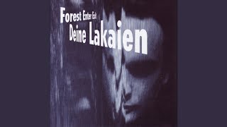 The Walk To The Moon