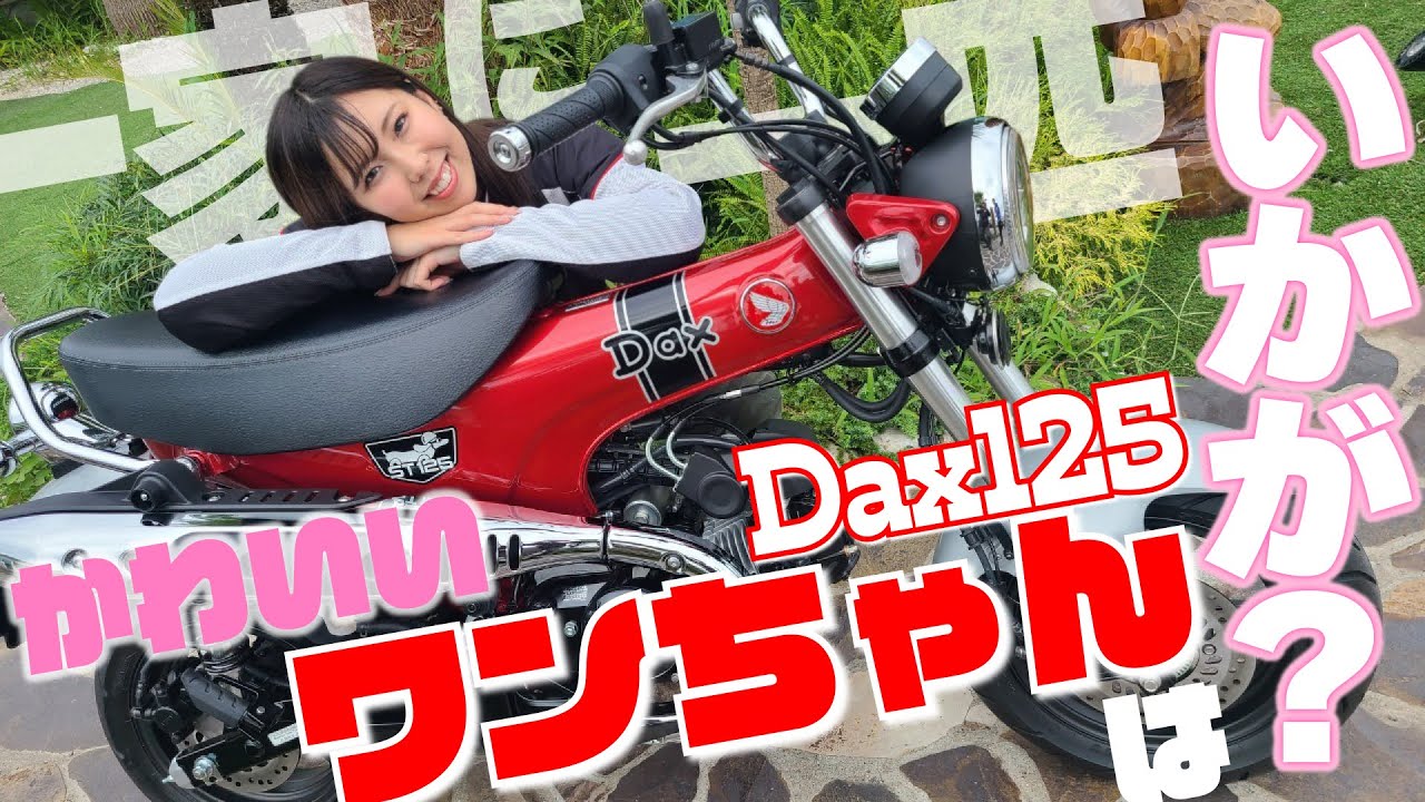 Kyon-chan test rides the just-released Dax125! It's a bike that