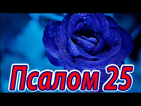 Псалом 25. Псалом Давида. Молитва о спасении невинных. Псалтирь