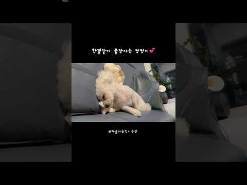 예나 지금이나 잘 때가 제일 이쁨 (?)