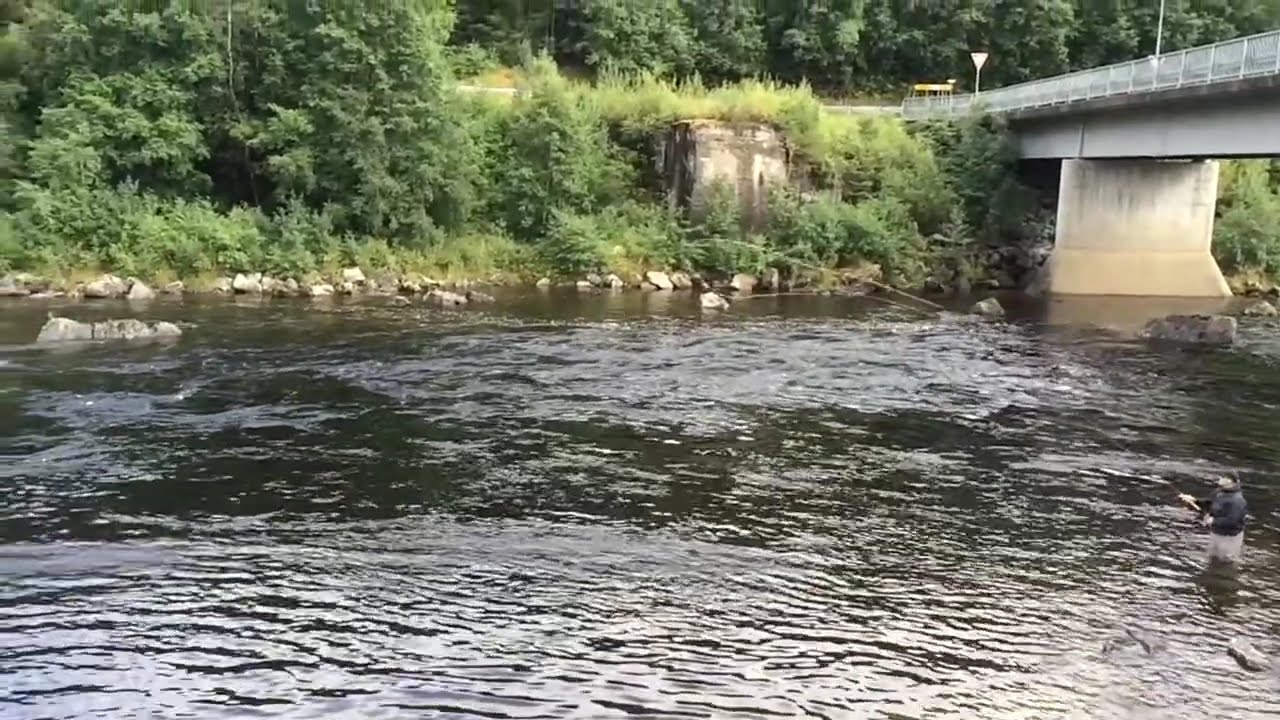 Single Spey, LTS Explosive 13'6" #9/10 6pcs, RIO Scandi F+S3 #9 (slow motion)