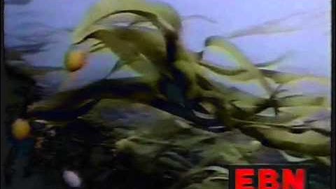 EBN - Psychoactive Drugs