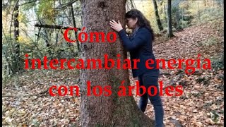 ¿Cómo intercambiar energía con los árboles Abracémoslos, y recibamos su bella vibración.