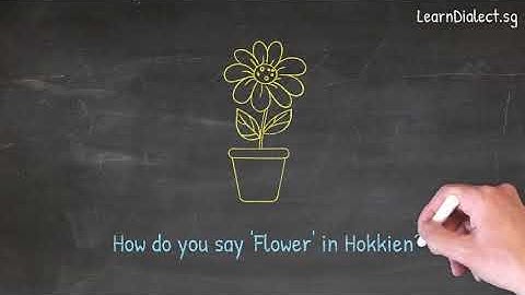 How do you say "Flower" in Hokkien · Say What You See Video Series