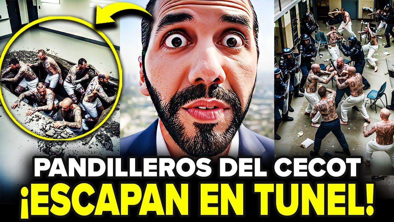 Los PANDILLEROS de MS13 se ESCAPAN del CECOT de una ASOMBROSA MANERA