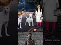 Reaction video🐶😂 | Watch till end🤣💀 | #raabi #reactionvideo #cheems #trollvideo #troll #shortsfeed
