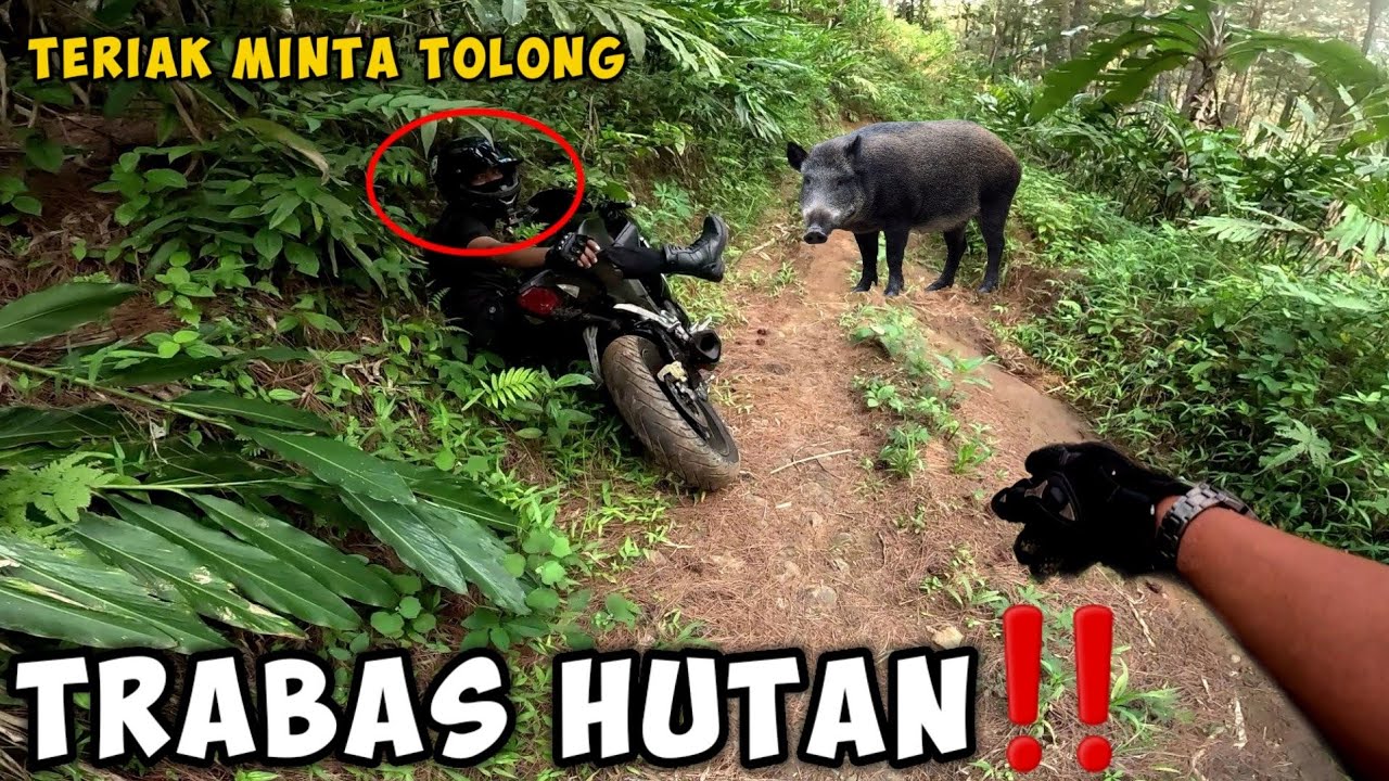 TIAN RD TERIAK MINTA TOLONG‼️ENDINGNYA MALAH INI YANG TERJADI - motovlog trabas hutan