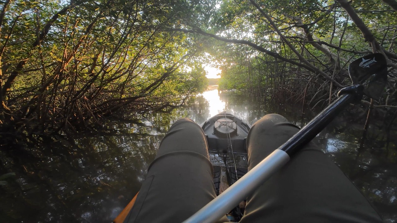 The Early Angler Gets The Fish