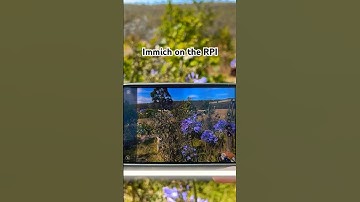 Keeping photos safe with a Raspberry Pi and Immich