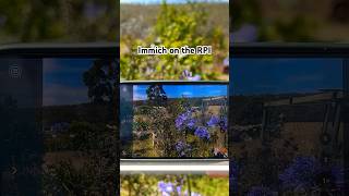 Keeping photos safe with a Raspberry Pi and Immich
