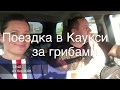 Осенние выходные в Каукси с дачей-прицепом