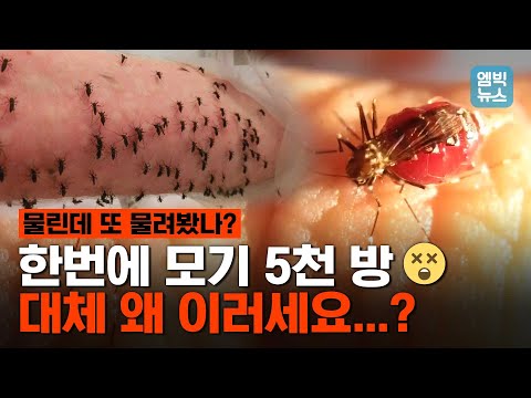 모기한테 팔을 제물로 바친 어느 과학자의 사연