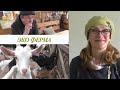 Хутор Андреевский 🏚 ЭКО - ФЕРМА 🐐 Частная СЫРОВАРНЯ 🧀 Khutor Andreevsky - Private CHEESE FACTORY