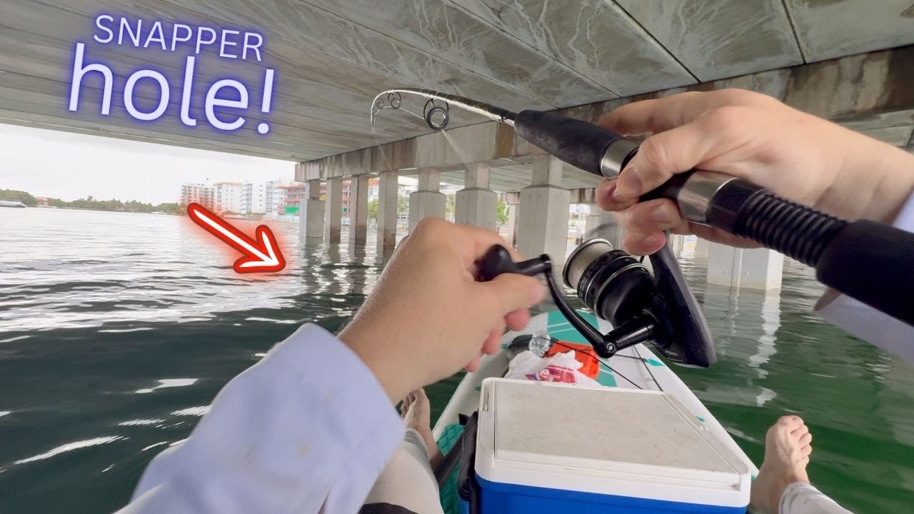 The BEST Snapper Fishing Location from a Paddle Board - YouTube