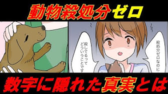 殺処分 Youtube