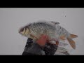 Рыбалка на плотву в снежную бурю.