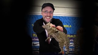 Nostalgia Critic throws a cat with overwhelming violence