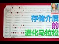 【科技杂谈65】记录的史诗，存储的百年马拉松
