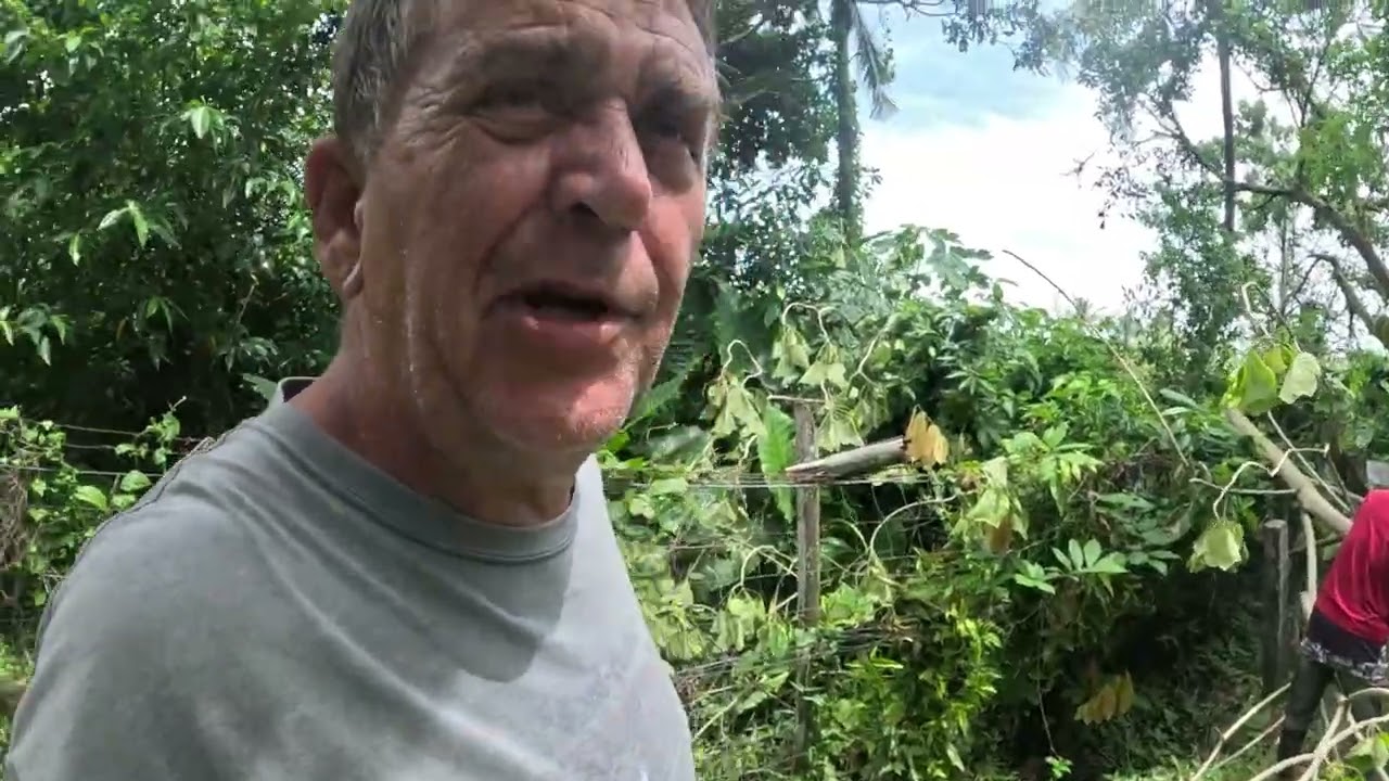 Trees down on our frence line from tree cutting thiefs for fire wood, Bastards