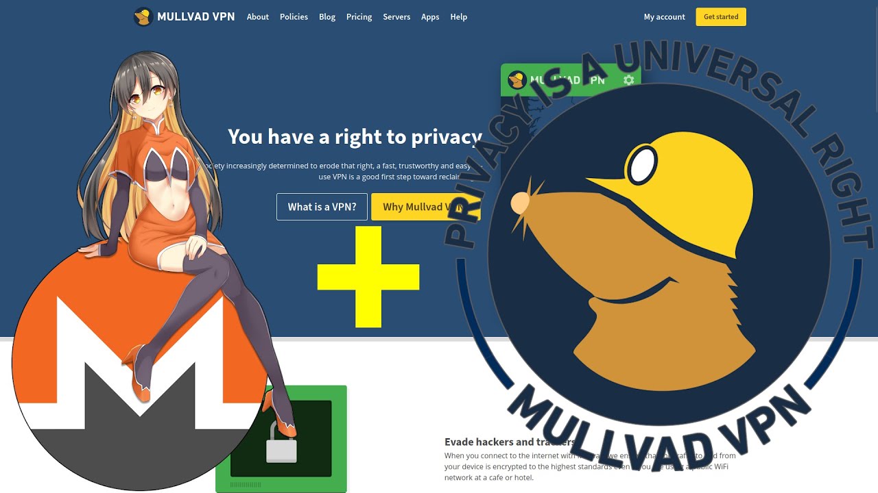 Вот как выглядит частный VPN