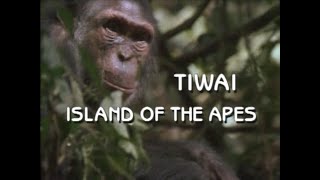 Tiwai: Island of the Apes (1992) by ThisOldVideo2 4,603 views 10 months ago 55 minutes