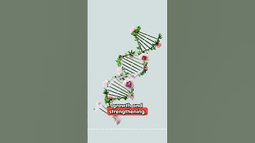 Muscle memory is real #shorts #diet #training