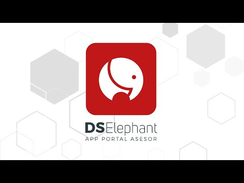 App para asesorías - DsElephant Portal asesor