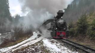 Steam in Romania, 2016 - CFF Viseu de Sus Part 2