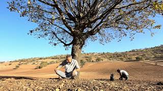 Felemez Öner - Tu Buyî Dengê Zerdeşt