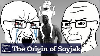 Are You a Soy Boy?  | Know Your Meme 101