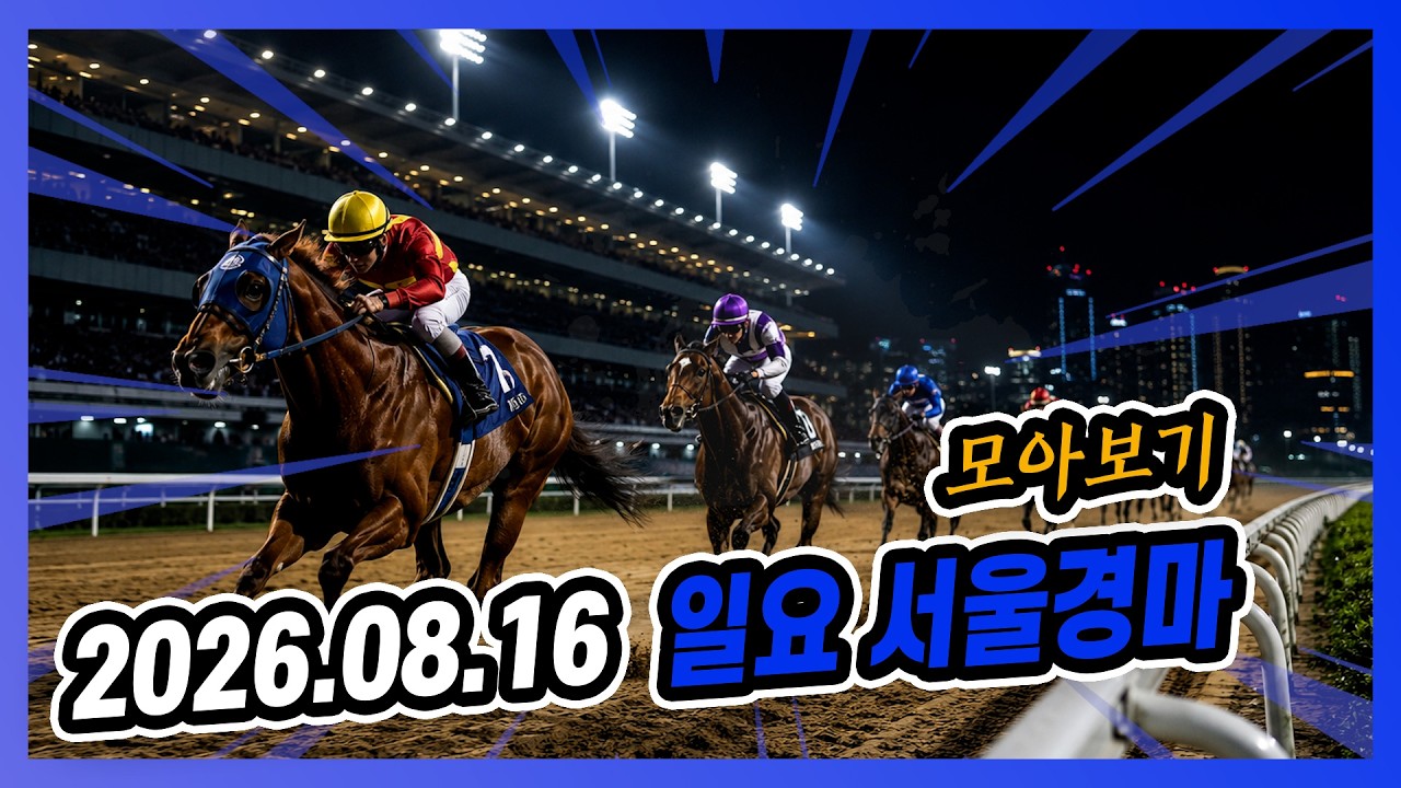 2026년 8월 16일 일요 서울경마 전체경주 모아보기