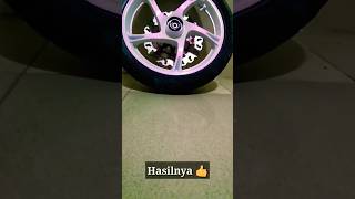 White Lembayung violet #ditonpremium #lembayung #cat