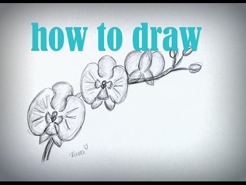 How To Draw A Flower Jak Narysować Storczyka Youtube