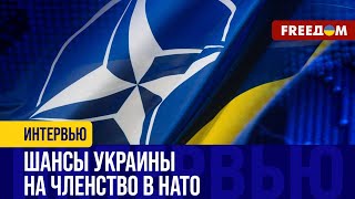 Война УСКОРЯЕТ членство Украины в НАТО: юбилейный саммит станет ПЕРЕЛОМНЫМ