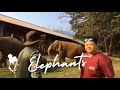 49+ Animal Behavior Internships Background